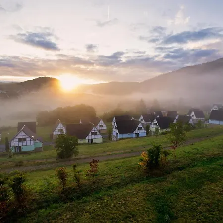 Semesteranläggning (resort) Dormio Eifeler Tor 4*